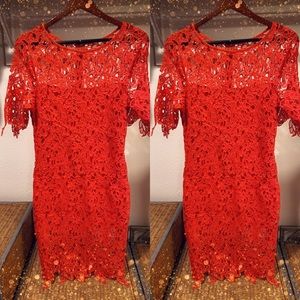 Red lace dress
